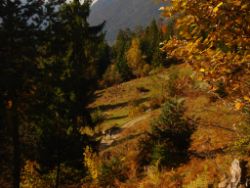 2013-10-20_Wank (067).JPG